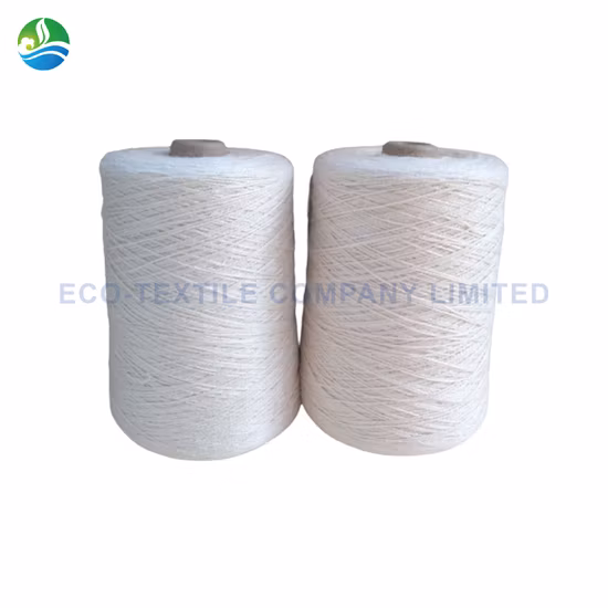 Filato lavorato a maglia per abbigliamento in misto ramiè di seta grezza di colore bianco non tinto